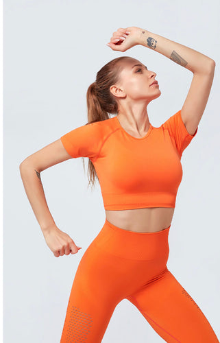 Seamless crop tee